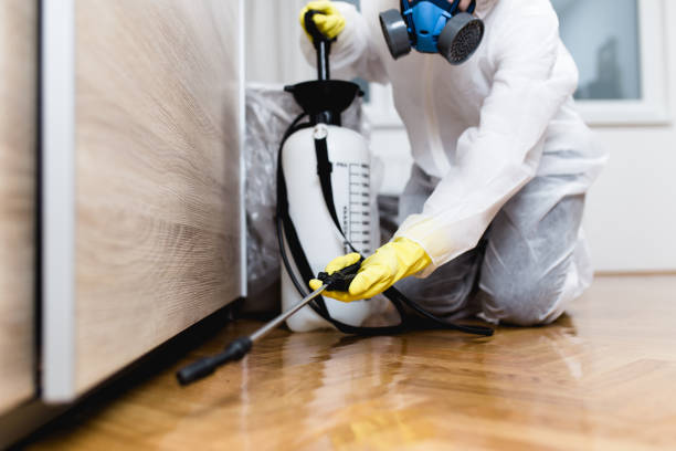 Reliable Cowarts, AL Pest Control Solutions