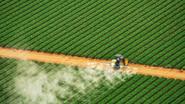 Best Ant Control Services  in Cowarts, AL